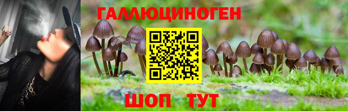 Галлюциногенные грибы MAGIC MUSHROOMS Белореченск