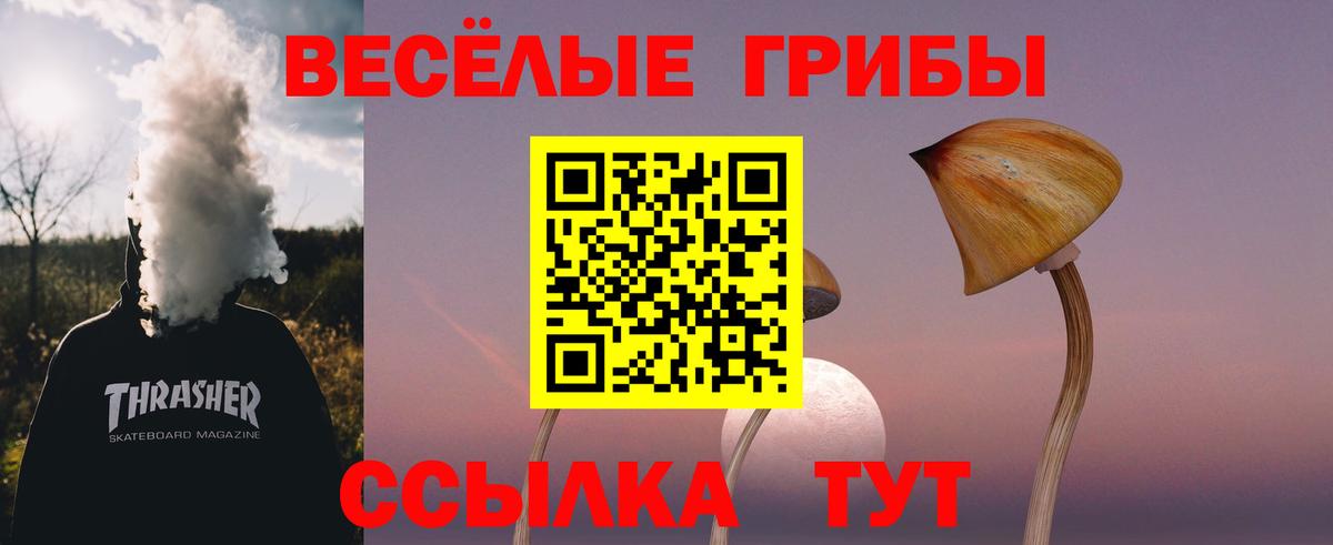 Белореченск  Галлюциногенные грибы Psilocybe  Псилоцибиновые грибы ЛСД  Вход с VPN 